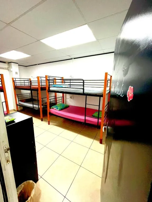 Bunk Bed in Female Dormitory Room  